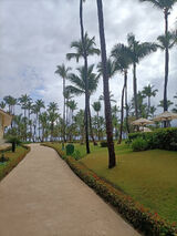 Photos pawelek90jukeej