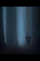 Zdjęcie użytkownika billel10