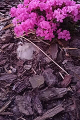 Benutzerfoto KrzysztofKrawczy91