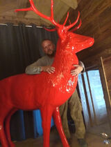 Фотография пользователя TomekWPY