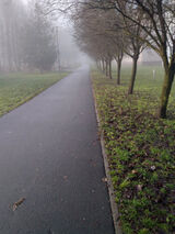 Фотография пользователя kolega77j