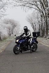 Zdjęcie użytkownika SznekaK