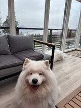 Benutzerfoto monikamadejowska77