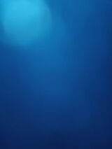 Benutzerfoto Przemas02