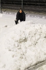 Фотография пользователя bhupidhanola