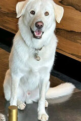 Benutzerfoto Can3Yaman