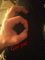 Фотография пользователя piterprice