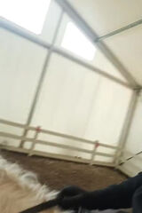 Benutzerfoto NiemiecP