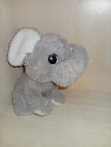 Photos patrycjapatrycja68