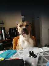 Фотография пользователя Radecki84