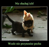 Benutzerfoto HOTKasia1985