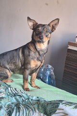 Фотография пользователя PiotrGajda