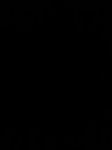 Benutzerfoto Bartek58943