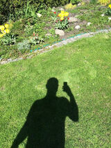 Photos silnorekidell