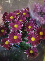 Zdjęcie użytkownika kacpertrochimowi91