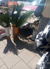 Zdjęcie użytkownika kacpertrochimowi91