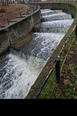 Фотография пользователя bondis