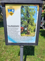 Zdjęcie użytkownika sebik178