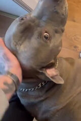 Benutzerfoto Daaaawwid