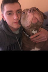 Benutzerfoto KrzysiekOs