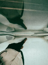 Benutzerfoto StripLight