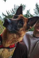 Фотография пользователя Noway