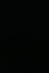 Benutzerfoto mozebedetwojmoze17