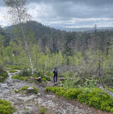 Фотография пользователя wittmann19042002