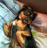 Benutzerfoto PszczelowskiPa