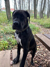 Zdjęcie użytkownika Michaelsebastian97