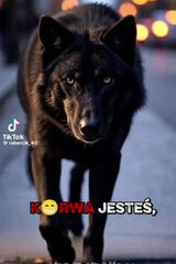 Фотография пользователя mareksobolewski8