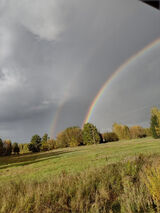 Photos michal182x20x