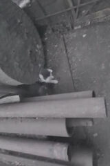 Photos MeanofTheYear