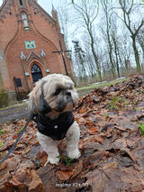 Фотография пользователя bodzio1978