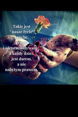 Benutzerfoto malgosidana