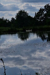 Zdjęcie użytkownika Pocztowy555