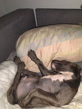 Фотография пользователя gromaszlukasz