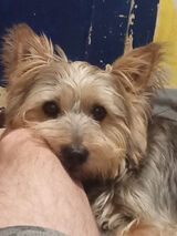 Фотография пользователя u9248741102