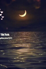 Benutzerfoto malgosidana