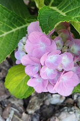 Фотография пользователя KrzysztofKrawczy91