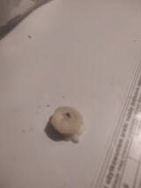 Фотография пользователя piotrkowal806