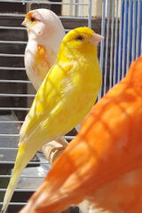 Zdjęcie użytkownika Karolinaa36