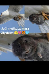 Фотография пользователя Celinki