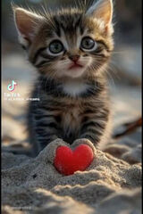 Zdjęcie użytkownika januszcudak99