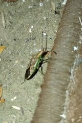 Фотография пользователя Bechcikk