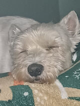 Zdjęcie użytkownika hnds