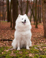 Фотография пользователя szymon834