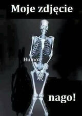 Benutzerfoto stachu854