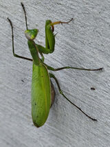 Benutzerfoto piotr1987poznan