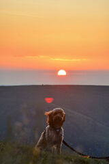 Фотография пользователя xyz0